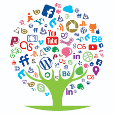 İnstagram Türk Takipçi