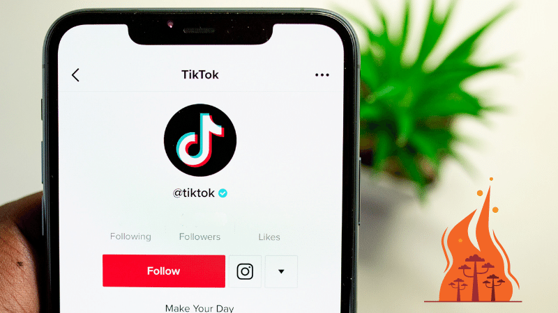 En İyi TikTok Video Düzenleme Uygulamaları